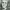 https://res.cloudinary.com/billionhands/image/upload/v1780665113/items/wowuadgqgde6zeho9dvh.jpg-3cover