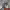 https://res.cloudinary.com/billionhands/image/upload/v1780666246/items/n0m1wylzofpuwzk6vqqh.jpg-3cover