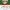 https://res.cloudinary.com/billionhands/image/upload/v1780668300/items/qlfhl7rq2zypslzglaea.jpg-2cover