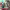 https://res.cloudinary.com/billionhands/image/upload/v1780668301/items/ur84uokoxsza34l4l2dw.jpg-2cover