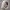 https://res.cloudinary.com/billionhands/image/upload/v1780668870/items/rvmttzytbsbpo0yvkfqq.jpg-0cover