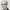 https://res.cloudinary.com/billionhands/image/upload/v1780669362/items/uzh4bvbocya80hdulh5y.jpg-1cover