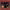 https://res.cloudinary.com/billionhands/image/upload/v1780670045/items/ljq4e11zd3zioicczujt.jpg-0cover
