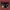 https://res.cloudinary.com/billionhands/image/upload/v1780670046/items/nfy1swjoqb0murf030kz.jpg-1cover