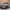 Toyota RAV4 Plug-in Hybrid cover