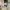 https://res.cloudinary.com/billionhands/image/upload/v1780670861/items/ranwgwxasyn6i8d4tiwe.png-1cover