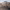 https://res.cloudinary.com/billionhands/image/upload/v1780672430/items/germ6bzkl04sltqvfflr.webp-1cover