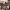 https://res.cloudinary.com/billionhands/image/upload/v1780674067/items/f27jeoktunu1rbbivuo0.webp-1cover