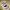 https://res.cloudinary.com/billionhands/image/upload/v1780674214/items/sjd24xtjpbhml0fbxswf.jpg-1cover