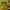 https://res.cloudinary.com/billionhands/image/upload/v1780674275/items/opjus8oyzk1uj65be5vw.png-3cover