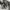 https://res.cloudinary.com/billionhands/image/upload/v1780674388/items/x80jsia8wi0qhj17pnyc.webp-2cover