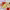 https://res.cloudinary.com/billionhands/image/upload/v1780674895/items/fsfsbjtkuiy6qmu6t3uj.jpg-3cover