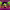 https://res.cloudinary.com/billionhands/image/upload/v1780674927/items/exjxmed8n83c036y4zlz.jpg-2cover