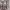 https://res.cloudinary.com/billionhands/image/upload/v1780675928/items/lwbuqajujdd1hzxymqso.webp-1cover