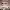https://res.cloudinary.com/billionhands/image/upload/v1780675987/items/nmj90bq45dddeifi1ub6.jpg-0cover