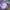 https://res.cloudinary.com/billionhands/image/upload/v1780677158/items/iumbmdzsfvqbobsaoytv.jpg-1cover
