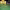 https://res.cloudinary.com/billionhands/image/upload/v1780677527/items/vuzcnai0l9upfrjohu5i.webp-2cover