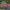 https://res.cloudinary.com/billionhands/image/upload/v1780678143/items/tihnzatrrcaf2fl8k4ll.webp-3cover
