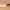 Tamahagane Tsubame Santoku cover