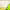 https://res.cloudinary.com/billionhands/image/upload/v1780678730/items/mo5u1ysmygviidwn9pd6.jpg-1cover