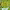 https://res.cloudinary.com/billionhands/image/upload/v1780678807/items/m1lftteenotrnolym3eo.webp-1cover