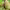 https://res.cloudinary.com/billionhands/image/upload/v1780678808/items/uph6658feayjklyeadrr.webp-2cover
