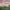 https://res.cloudinary.com/billionhands/image/upload/v1780678809/items/kuhlraphtkpbevwjgwns.jpg-0cover