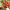 https://res.cloudinary.com/billionhands/image/upload/v1780678810/items/nwfyhyck97ygshy7uemj.webp-2cover