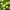 https://res.cloudinary.com/billionhands/image/upload/v1780678812/items/vgocg8kifnaaubsgx4ck.jpg-1cover