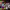 https://res.cloudinary.com/billionhands/image/upload/v1780678858/items/b8obz3vgbnabjicw0gvj.jpg-0cover