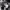https://res.cloudinary.com/billionhands/image/upload/v1780678910/items/ewuqph1e5vrykacbj6ti.jpg-1cover
