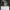 https://res.cloudinary.com/billionhands/image/upload/v1780678997/items/hezmidfk2yio4ezlhqz0.jpg-2cover