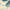 https://res.cloudinary.com/billionhands/image/upload/v1780679040/items/jqvodsisdutqpnqpibnc.jpg-1cover