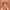 https://res.cloudinary.com/billionhands/image/upload/v1780679285/items/znk4ya4n9qhw6hojcut9.webp-1cover