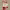 https://res.cloudinary.com/billionhands/image/upload/v1780682273/items/gwhmr6jwno5sbt6fprr5.jpg-2cover