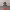 https://res.cloudinary.com/billionhands/image/upload/v1780682350/items/b0z6lg6gypf0ackcfw1t.jpg-3cover