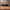 https://res.cloudinary.com/billionhands/image/upload/v1780682350/items/z5afrikl5mixcmzhfug9.jpg-1cover