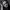 https://res.cloudinary.com/billionhands/image/upload/v1780683378/items/veh9wfl20wtab2d25tpn.jpg-3cover