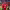 https://res.cloudinary.com/billionhands/image/upload/v1780684028/items/ttjtat8d3zyzrhuwpfm3.jpg-1cover