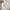 https://res.cloudinary.com/billionhands/image/upload/v1780684185/items/zk2vcdxsb1fmked0hfuo.webp-1cover