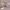 https://res.cloudinary.com/billionhands/image/upload/v1780684721/items/guiznog3h4otzfqbrbuy.jpg-1cover