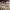 https://res.cloudinary.com/billionhands/image/upload/v1780684725/items/vau1rgovcpsy4kbkjpxo.jpg-1cover
