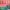 https://res.cloudinary.com/billionhands/image/upload/v1780684739/items/xqkabcfei2oepjn9ubfz.jpg-3cover