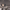 https://res.cloudinary.com/billionhands/image/upload/v1780685117/items/e2duslwr160esjvyursy.webp-3cover