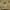 https://res.cloudinary.com/billionhands/image/upload/v1780685339/items/kxrkenfipspzkyj731va.webp-0cover