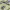 https://res.cloudinary.com/billionhands/image/upload/v1780685890/items/ailv1tdrx0wdehai2kvy.jpg-2cover