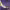 https://res.cloudinary.com/billionhands/image/upload/v1780686511/items/oa93lp4k4p20cunk7a4y.jpg-2cover