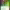 https://res.cloudinary.com/billionhands/image/upload/v1780687120/items/lxc29quc7dh3bqwkbhw2.jpg-1cover