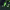 https://res.cloudinary.com/billionhands/image/upload/v1780687985/items/aijxyt34xj30jnvsmnla.webp-2cover