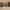 https://res.cloudinary.com/billionhands/image/upload/v1780688224/items/zzeyoqb7ahexovkrkget.webp-1cover
